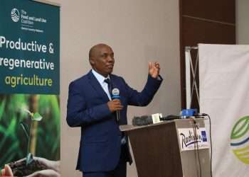 FOLU celebrates World Soil Day, Advocates for 2030 Action Plan