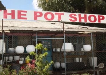 European Investment Bank's Crucial Role During COVID-19 in Kenya