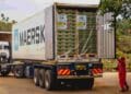 Kakuzi An export consignment of fresh avocados container load is prepared before departure for the port of Mombasa at Kakuzi Plc Packhouse