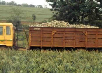 Del Monte Kenya Recycling