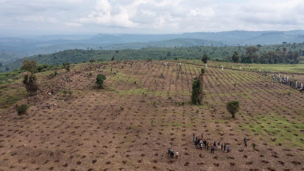 Tree Planting Exercise in Mau Forest on 27th Oct 2025