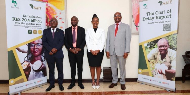 Kenya Loses Ksh 20.4 Billion To Delays In Adopting Advanced Crop Varieties, Study Reveals