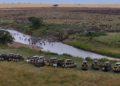 Great Migration in Masai Mara