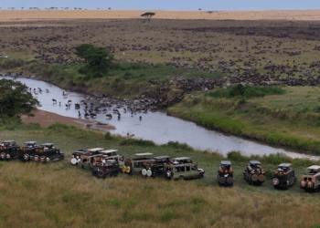 Great Migration in Masai Mara