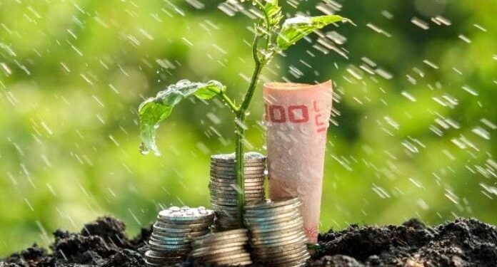 Nature, Carbon and Climate Are Becoming Core Investment Themes - with Africa at the Centre