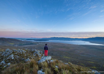 A crew member with The Greater Cape Town Water Fund looks out over the landscape where the team is working to remove invasive alien plants for improved water security.